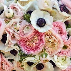 Meet your Posher, Onedesignerchick